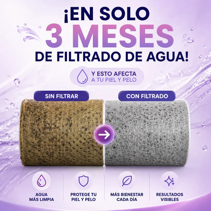 Cabezal De Ducha Purificadora Con 3 Modos y Más Presión - Zentia